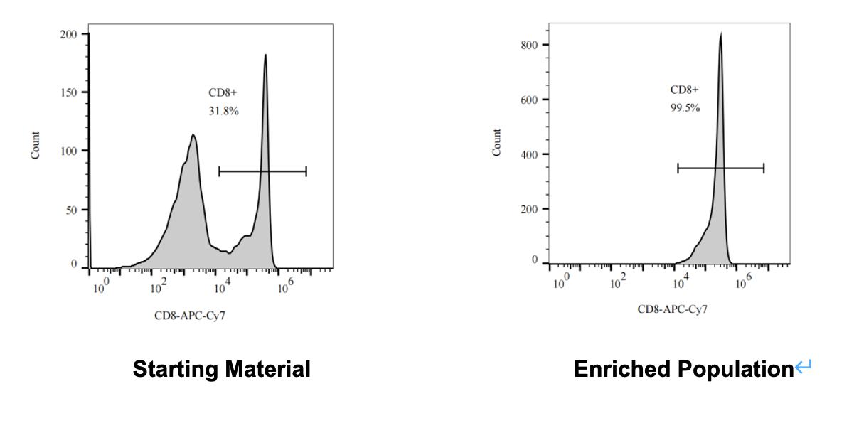 Precision CD8+ T Cell Isolation for Cell Therapy (图2)