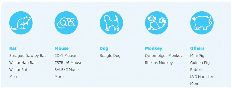 Primary Plateable Hepatocytes(图3)
