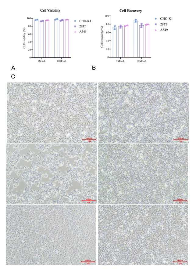Cryopreservation of three different cell lines.png